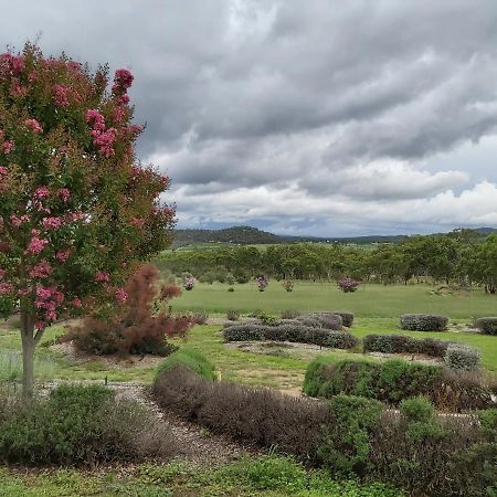 Accommodation Creek Cottages & Sundown View Suites Ballandean Exteriör bild